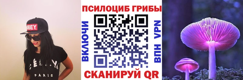 Псилоцибиновые грибы Cubensis  Чишмы 